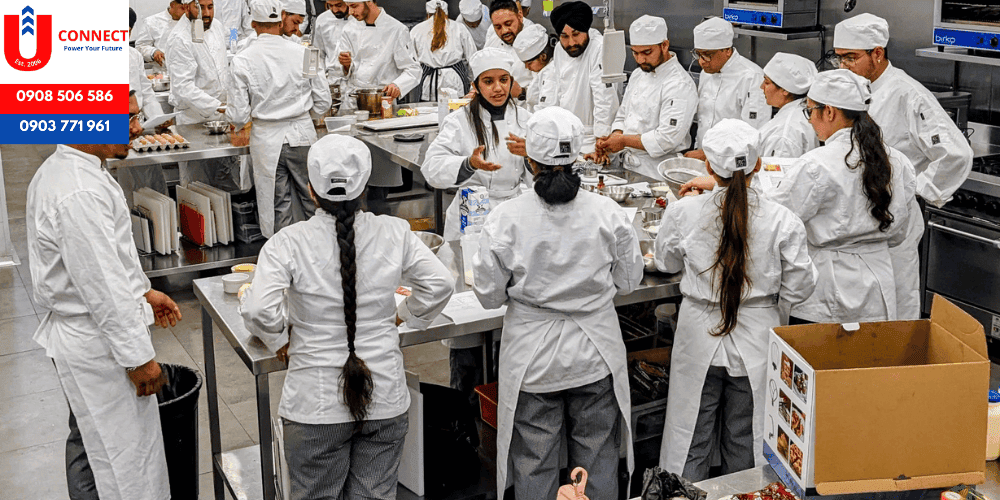 Trường cao đẳng quốc tế TasCollege, bang Tasmania, Úc